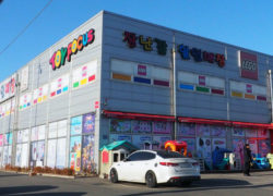Toy Focus South Korea