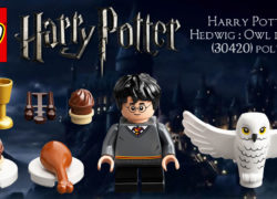 Lego Harry Potter Harry Potter And Hedwig Owl Delivery 30420 Poly-Bag Set
