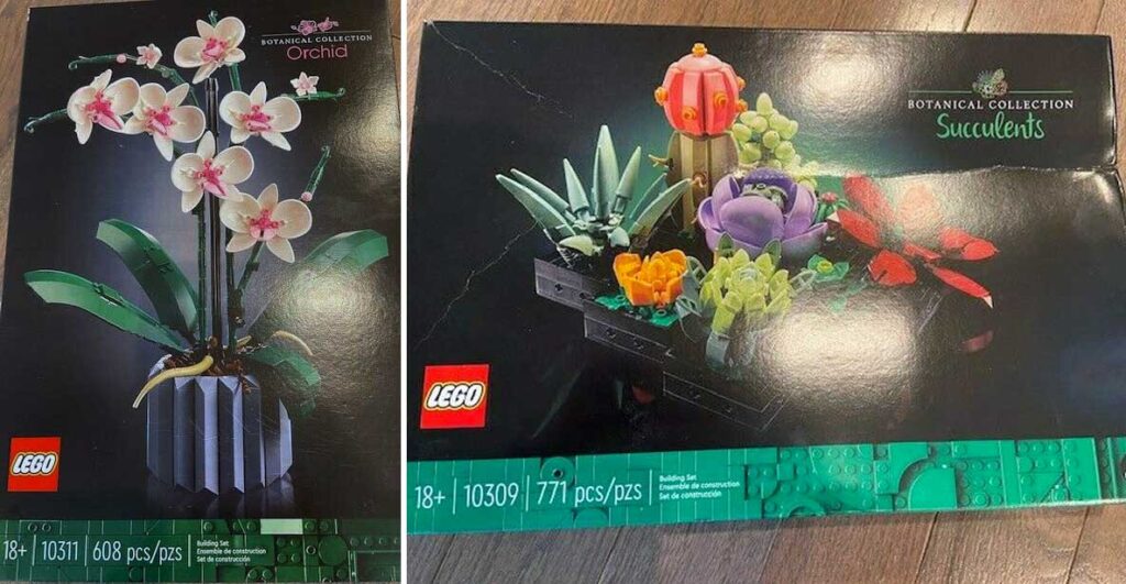Brickfinder LEGO Botanical Collection 2022 Sneak Peek!
