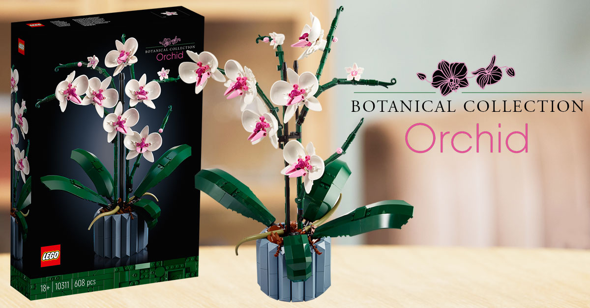 Brickfinder - LEGO Botanical Collection Orchid 10311 Official Images!